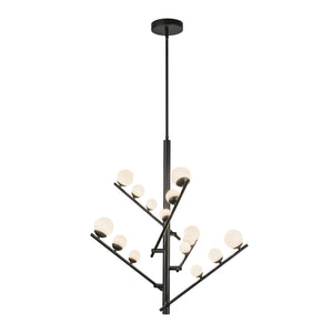 Cypress Chandelier