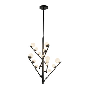 Cypress Chandelier