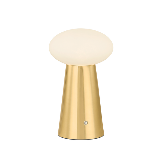 CASHEL Rechargeable Table Lamp