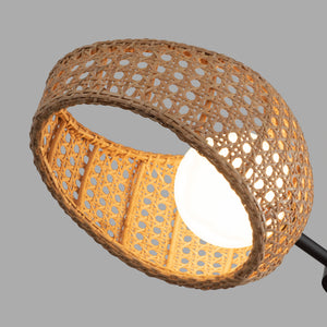 Lanai 3 Head Black/Opal Glass LED Chandelier