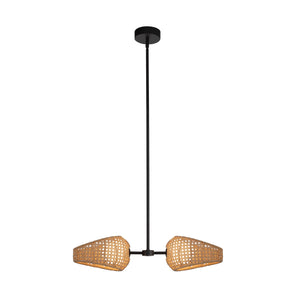 Lanai 2 Head Black/Opal Glass LED Pendant