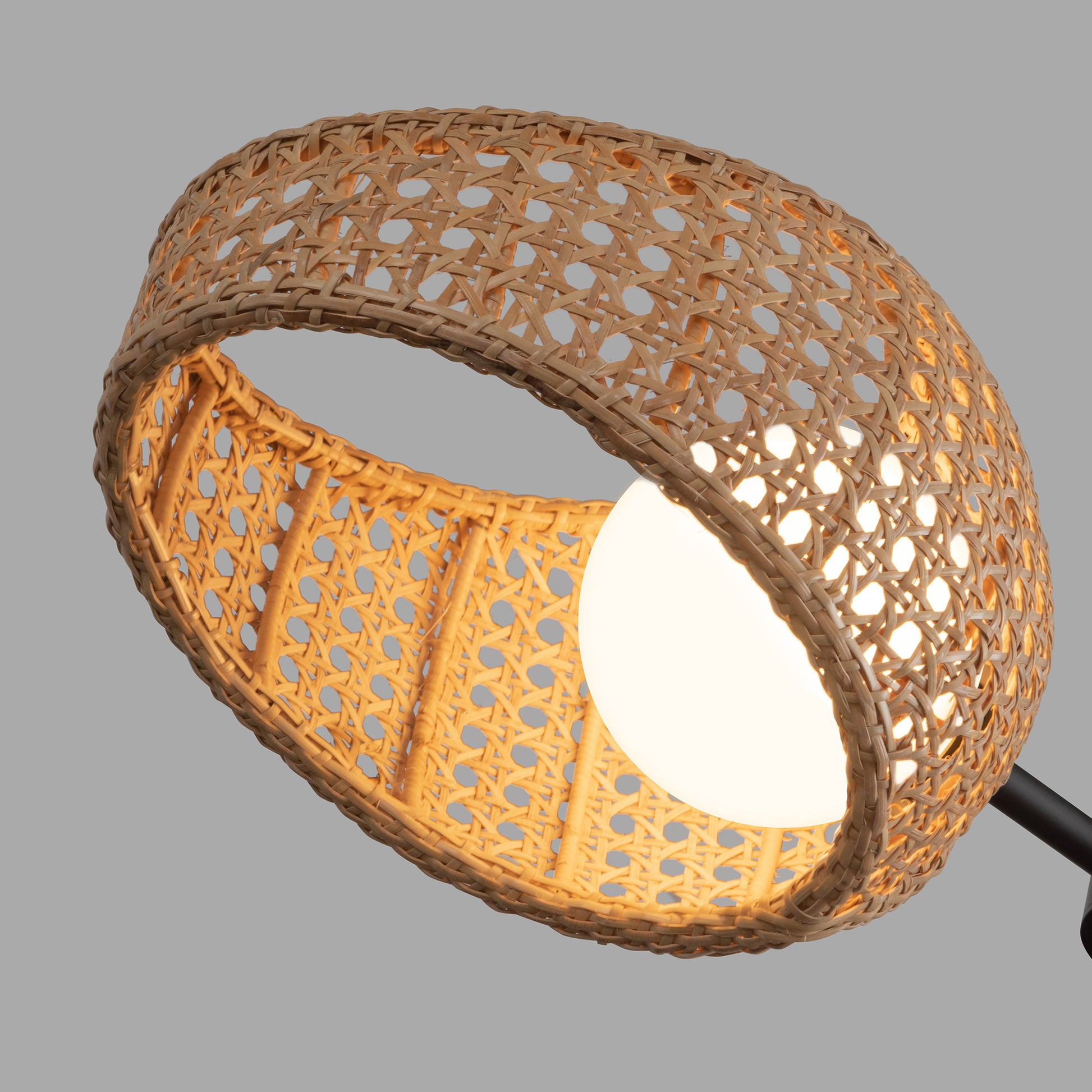 Lanai 2 Head Black/Opal Glass LED Pendant