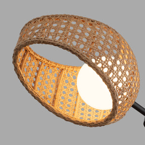 Lanai 2 Head Black/Opal Glass LED Pendant