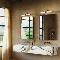 Ledger Vanity Light