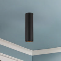 Lorna Concrete Ceiling Mount