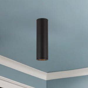 Lorna Concrete Ceiling Mount