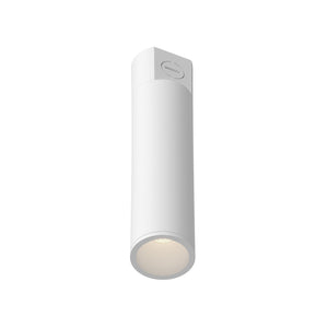 Lorna Concrete Ceiling Mount