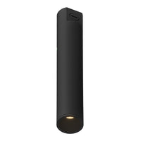 Lorna Concrete Ceiling Mount