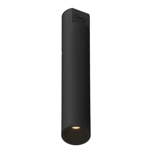 Lorna Concrete Ceiling Mount