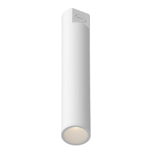 Lorna Concrete Ceiling Mount