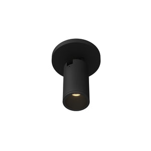 Lorna Adjustable Ceiling Mount
