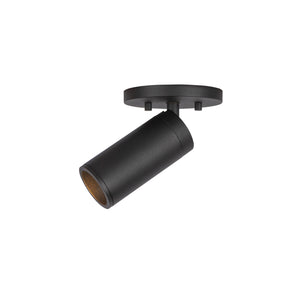 Lorna Adjustable Ceiling Mount