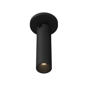 Lorna Adjustable Ceiling Mount
