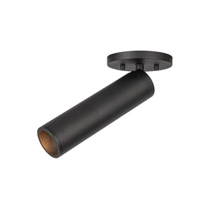 Lorna Adjustable Ceiling Mount
