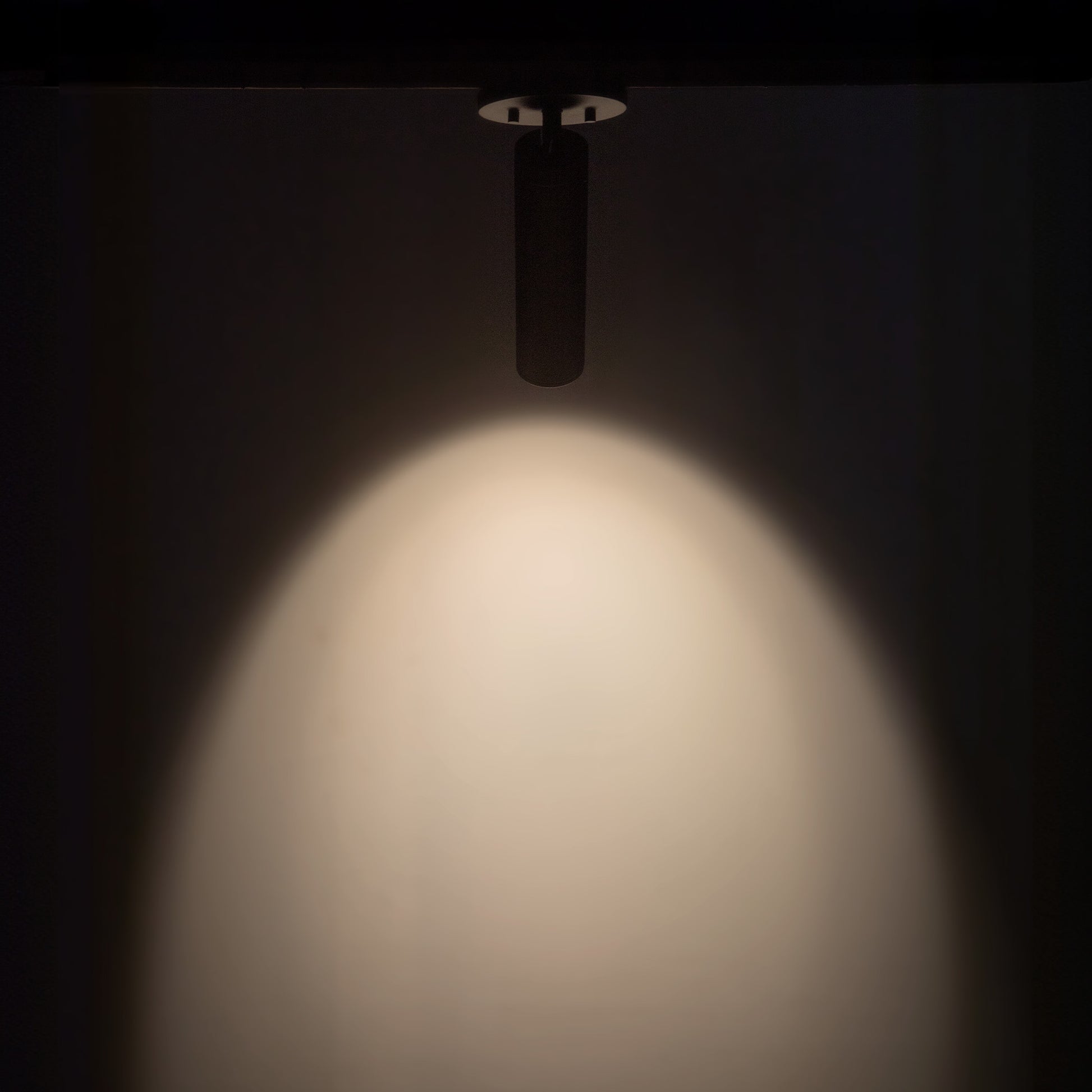 Lorna Adjustable Ceiling Mount