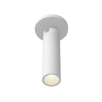 Lorna Adjustable Ceiling Mount