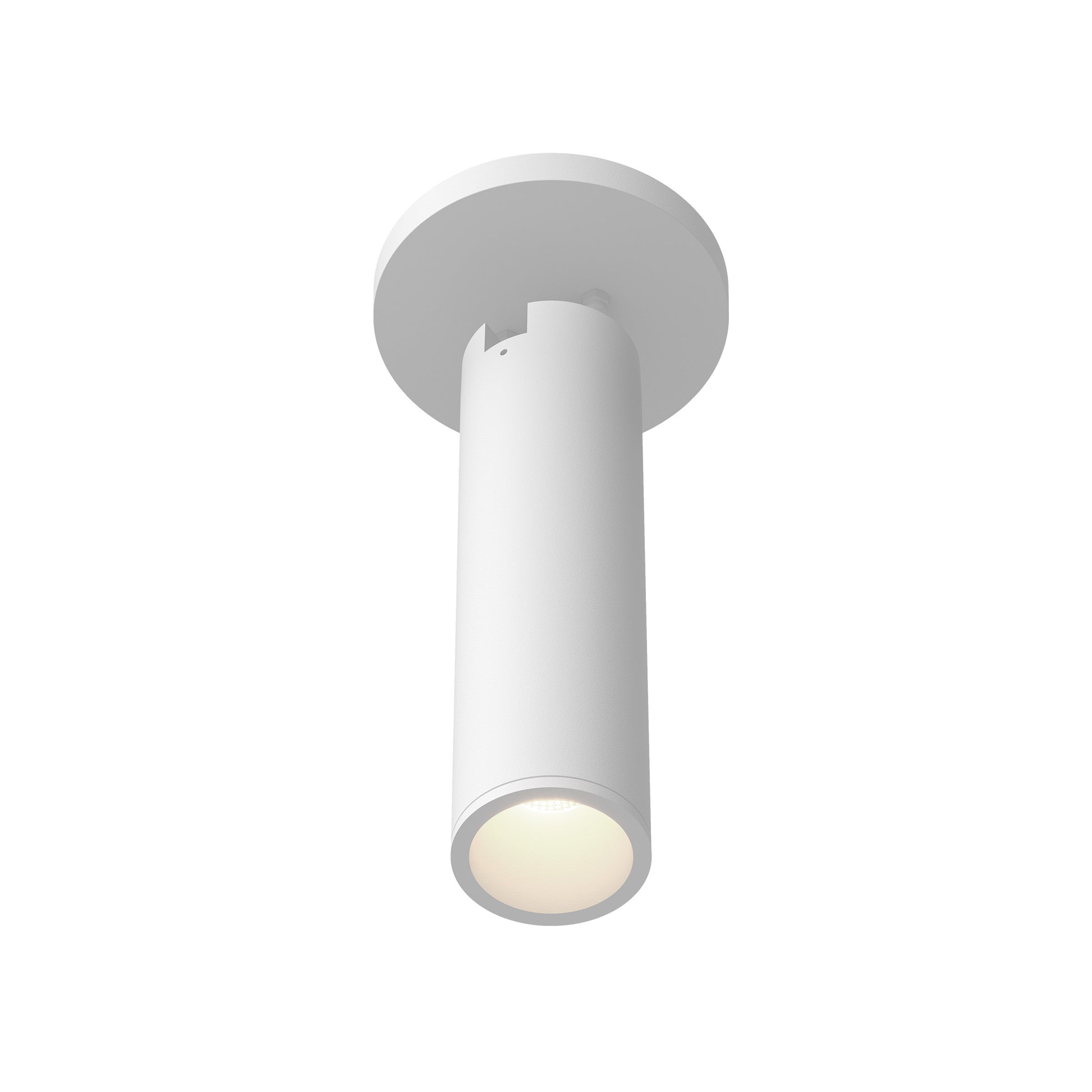 Lorna Adjustable Ceiling Mount
