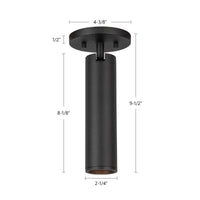 Lorna Adjustable Ceiling Mount