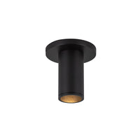 Lorna Ceiling Mount