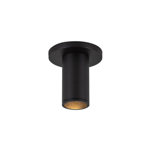 Lorna Ceiling Mount