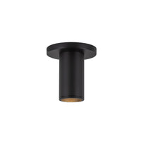 Lorna Ceiling Mount