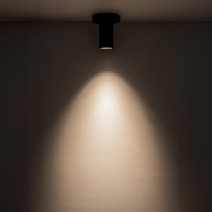 Lorna Ceiling Mount