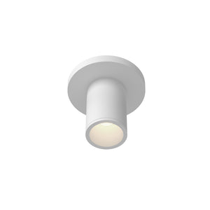 Lorna Ceiling Mount