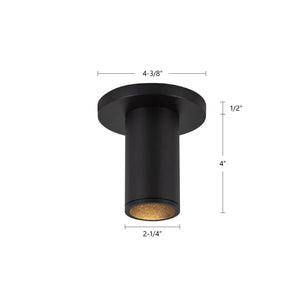 Lorna Ceiling Mount