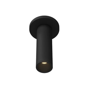 Lorna Ceiling Mount