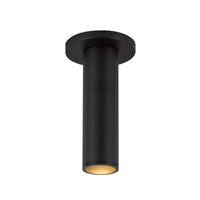 Lorna Ceiling Mount