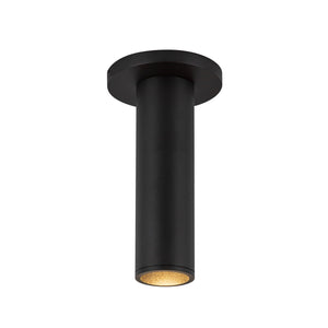 Lorna Ceiling Mount