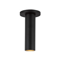 Lorna Ceiling Mount
