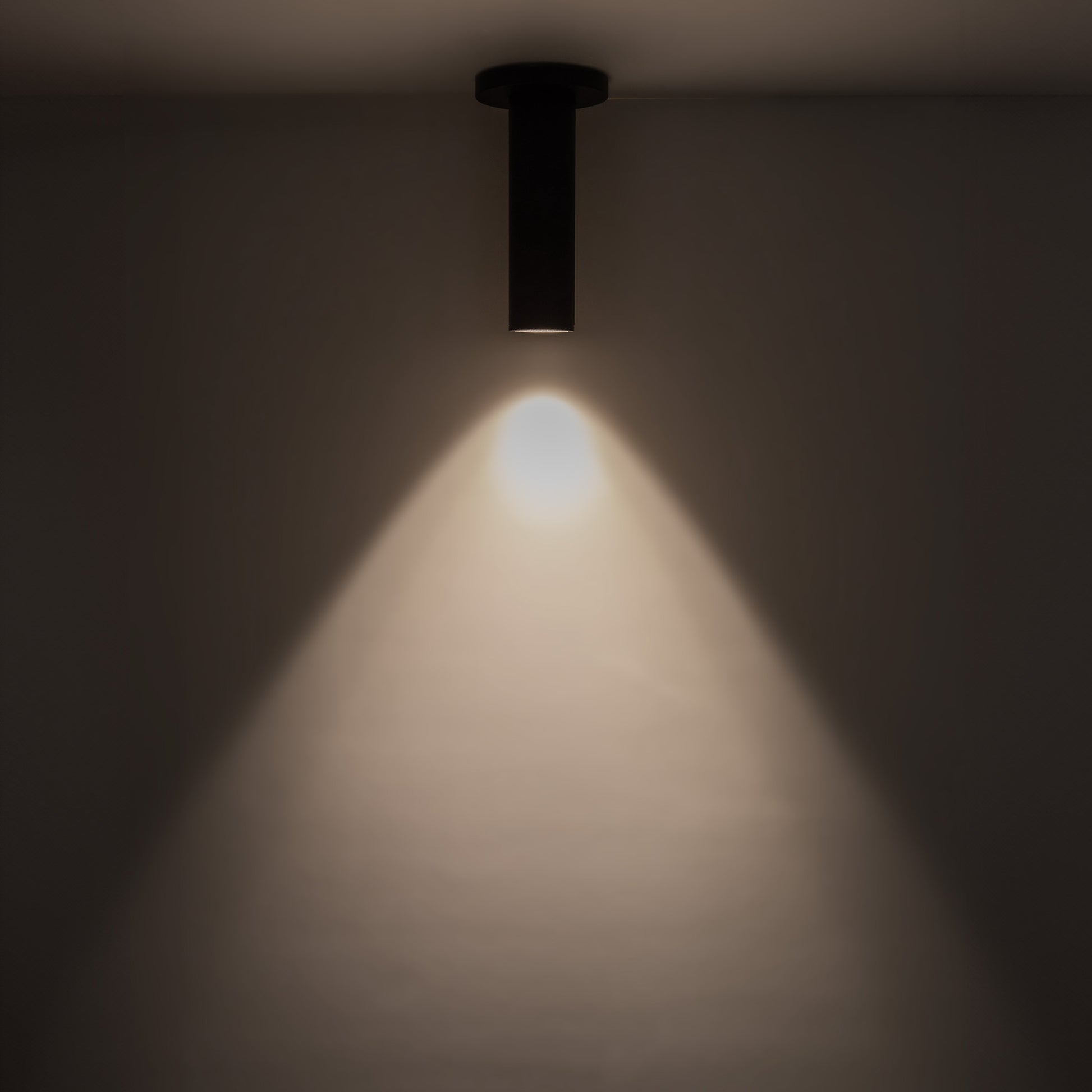 Lorna Ceiling Mount