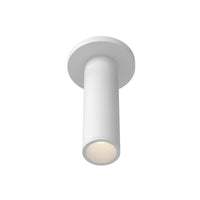 Lorna Ceiling Mount
