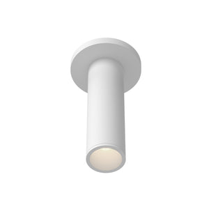 Lorna Ceiling Mount