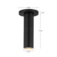 Lorna Ceiling Mount