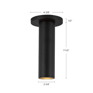 Lorna Ceiling Mount