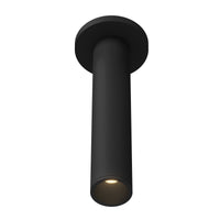 Lorna Ceiling Mount