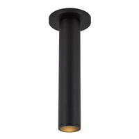 Lorna Ceiling Mount