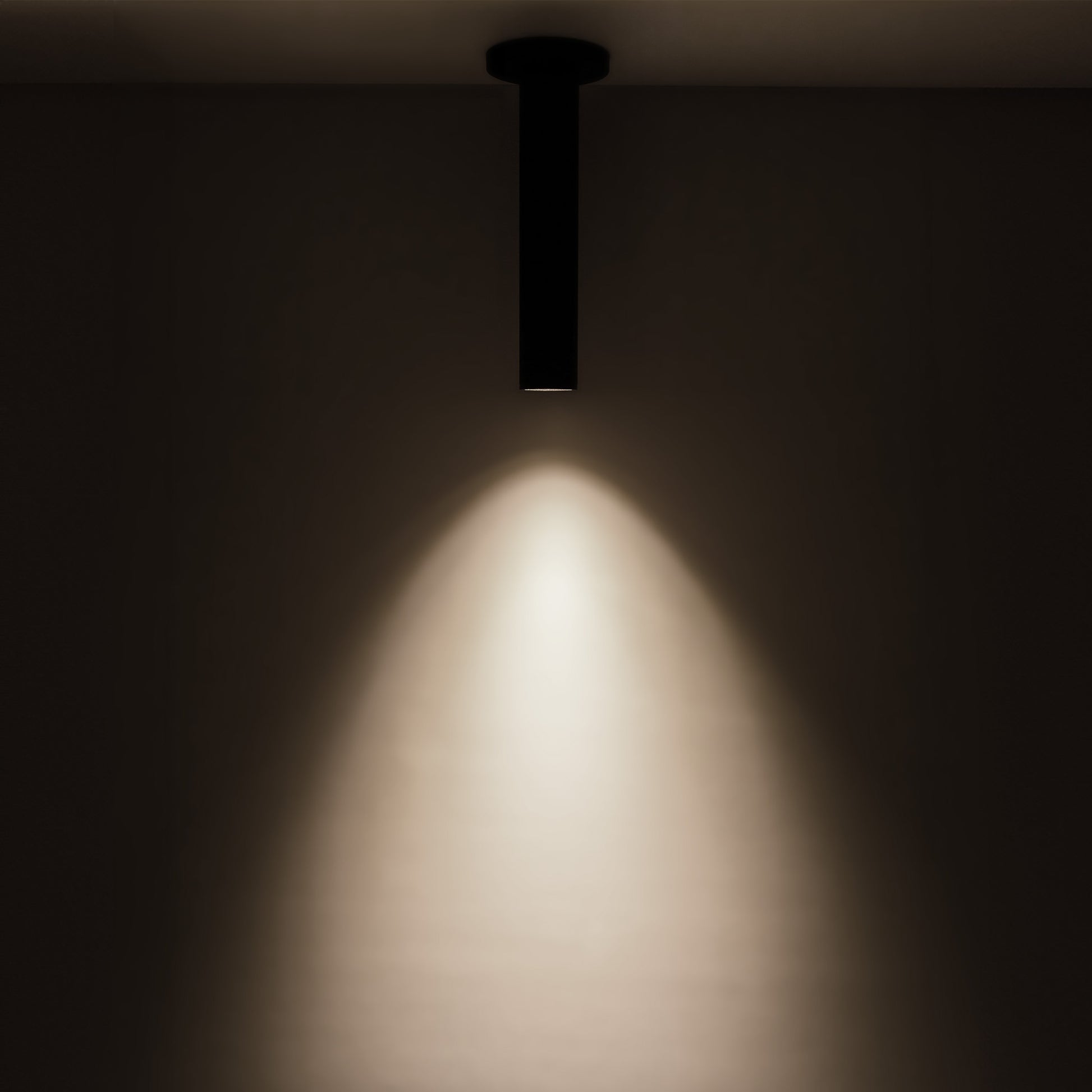 Lorna Ceiling Mount