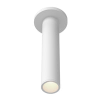 Lorna Ceiling Mount