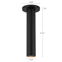Lorna Ceiling Mount
