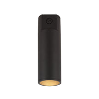 Lorna Concrete Ceiling Mount