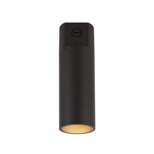 Lorna Concrete Ceiling Mount