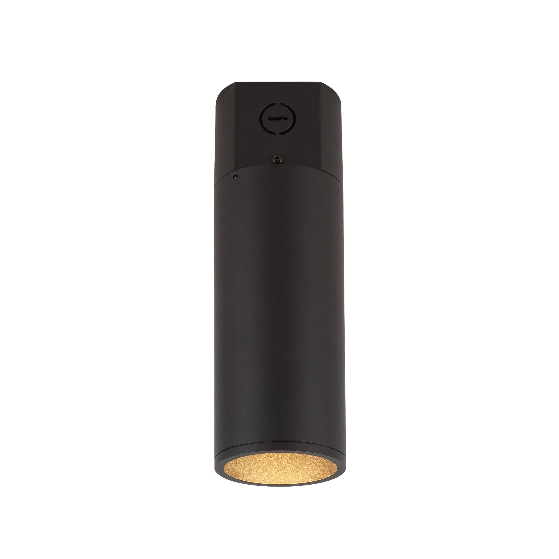 Lorna Concrete Ceiling Mount