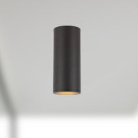 Lorna Concrete Ceiling Mount