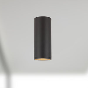 Lorna Concrete Ceiling Mount