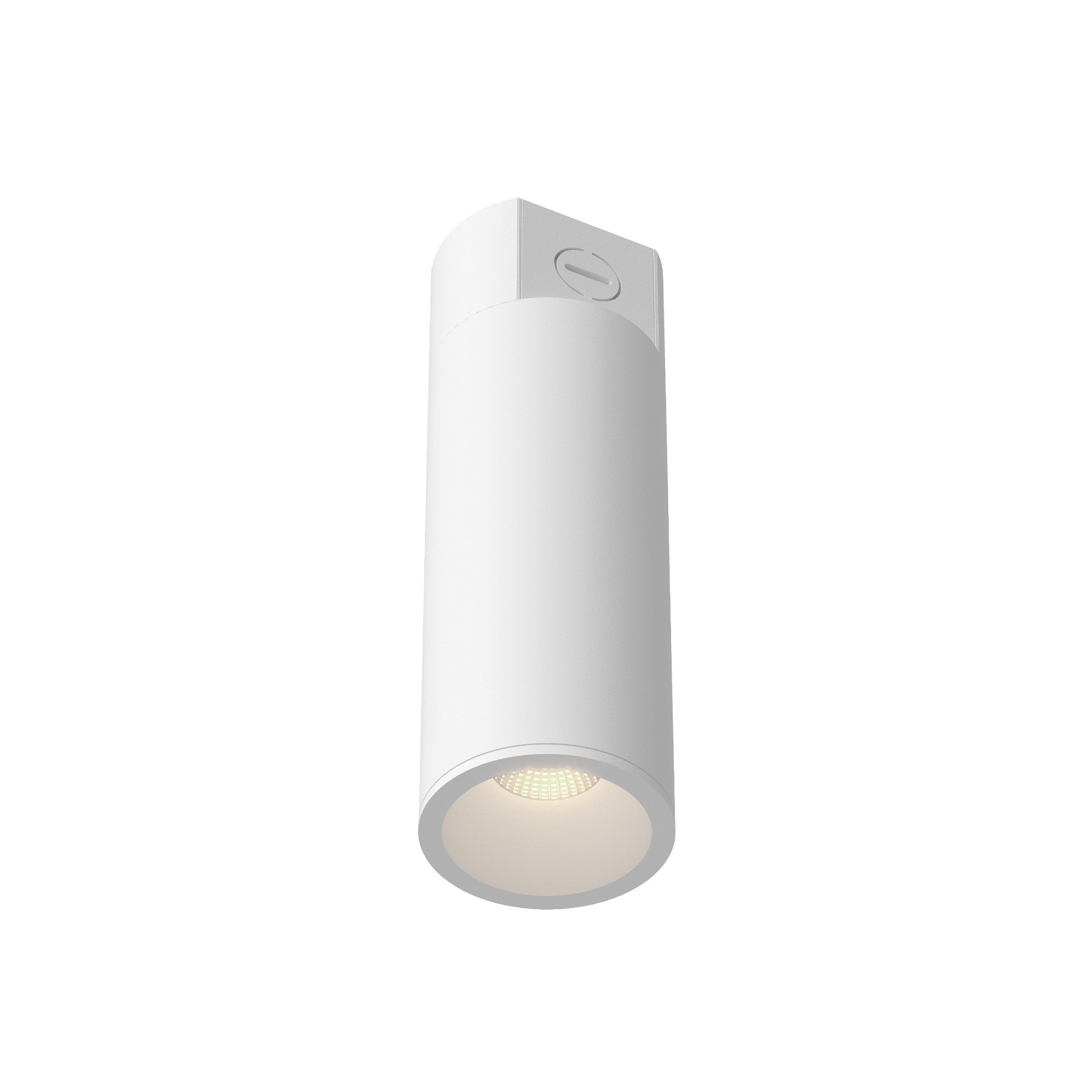 Lorna Concrete Ceiling Mount