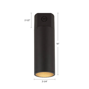Lorna Concrete Ceiling Mount
