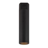 Lorna Concrete Ceiling Mount